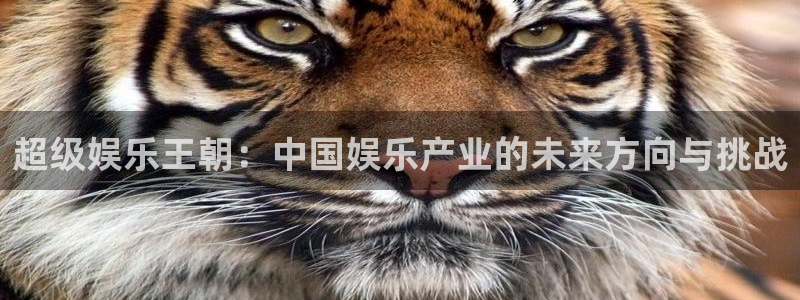 星空娱乐